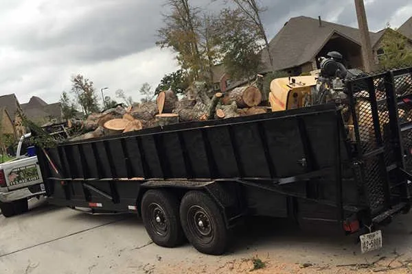 Expert landscape installation in Conroe, TX - Ventura's Tree Services