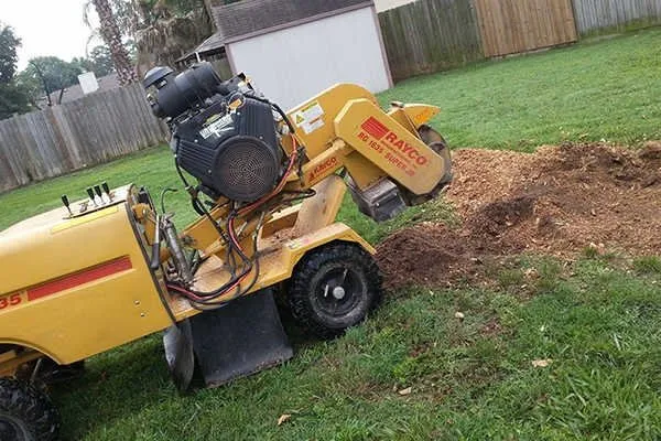 Affordable yard cleanup service for beautiful yards across Conroe, TX - Ventura's Tree Services