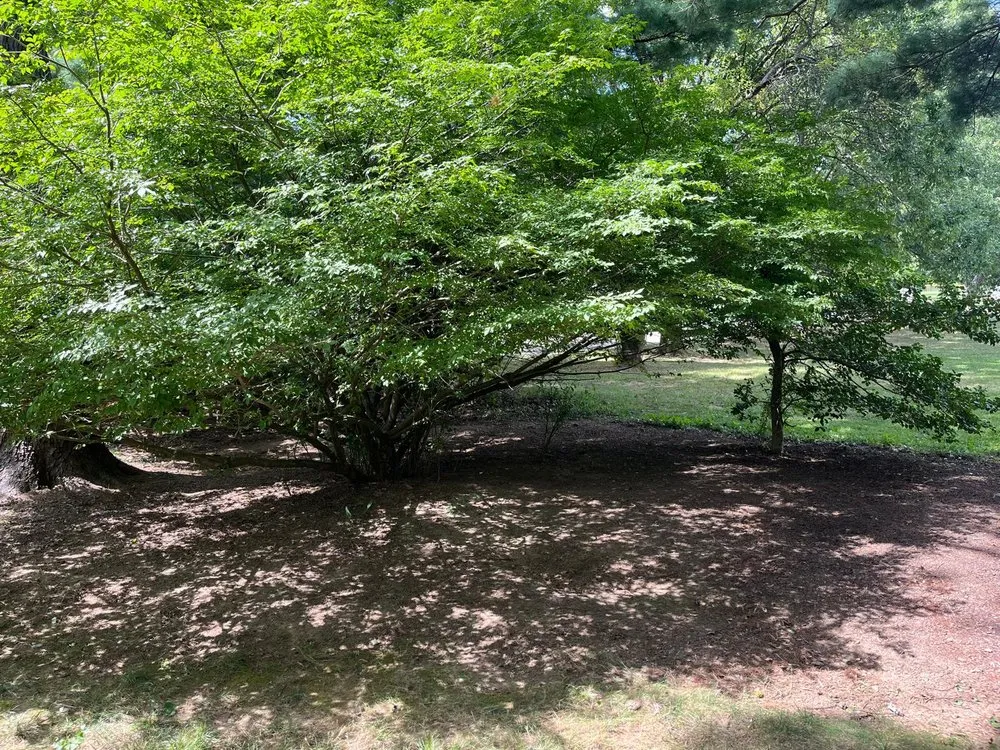 Professional landscaping services experts serving Audubon, PA - Venture Home Services