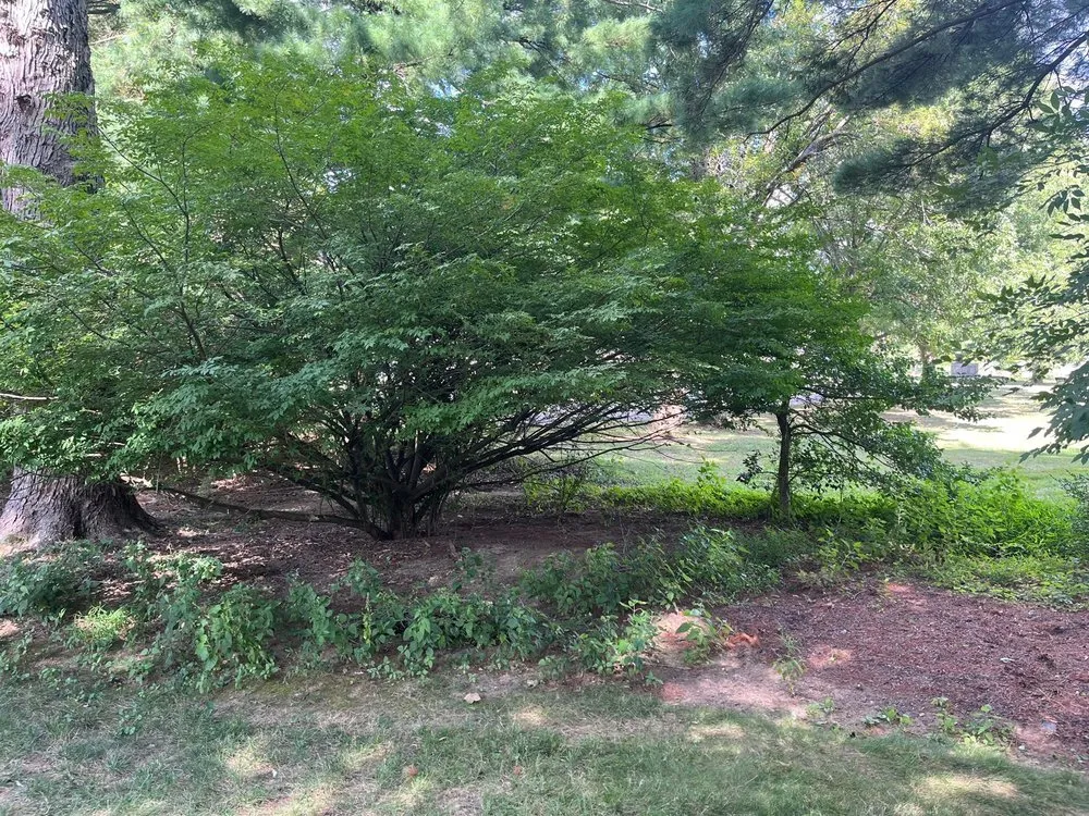 Reliable lawn care service in Audubon, PA by Venture Home Services