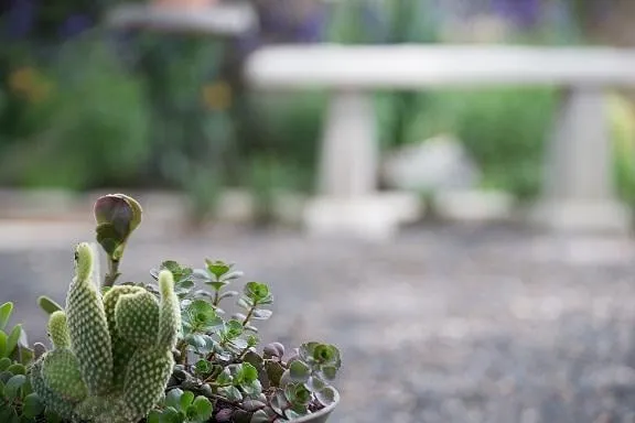 Professional yard maintenance in San Antonio, TX - Venture Organic