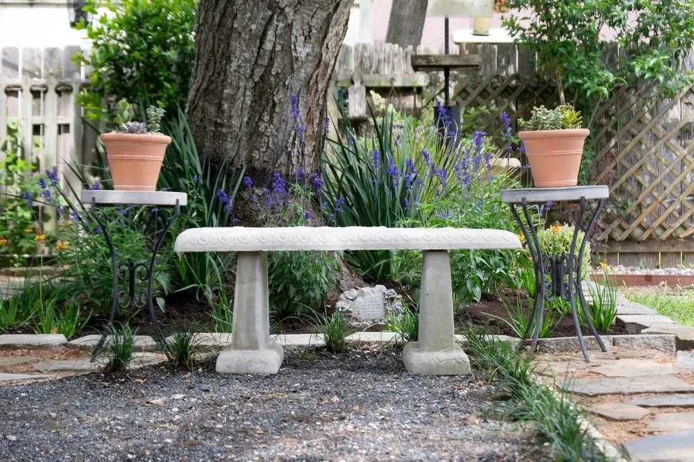 Local yard cleanup service with custom design across San Antonio, TX - Venture Organic