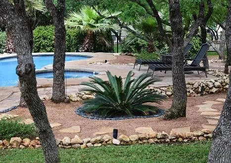 Reliable outdoor landscaping in San Antonio, TX - Venture Organic