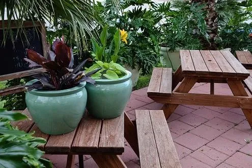 Custom yard maintenance experts serving San Antonio, TX - Venture Organic