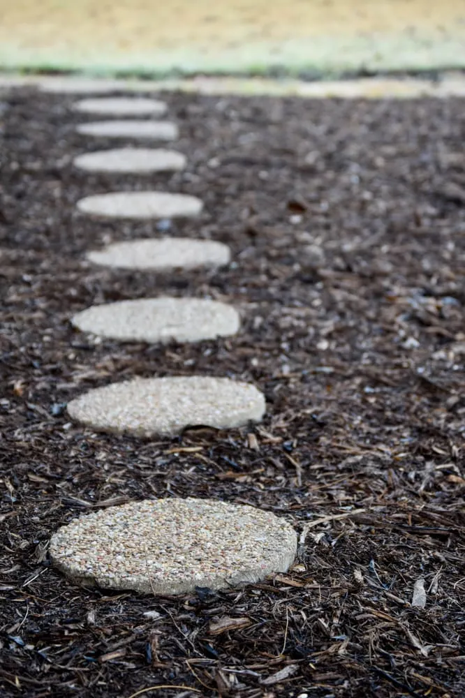 Affordable lawn care service in San Antonio, TX - Venture Organic