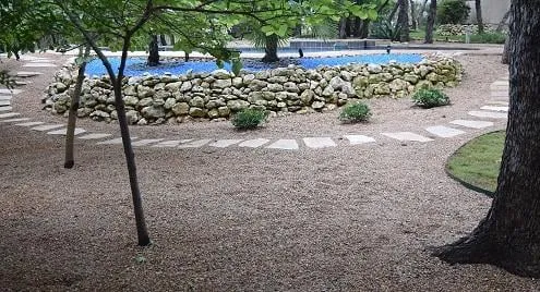 Trusted yard maintenance experts serving San Antonio, TX - Venture Organic