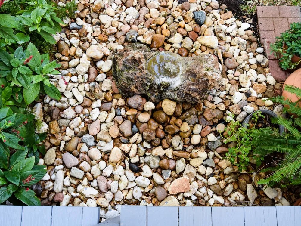 Affordable landscape installation for residential properties in San Antonio, TX by Venture Organic