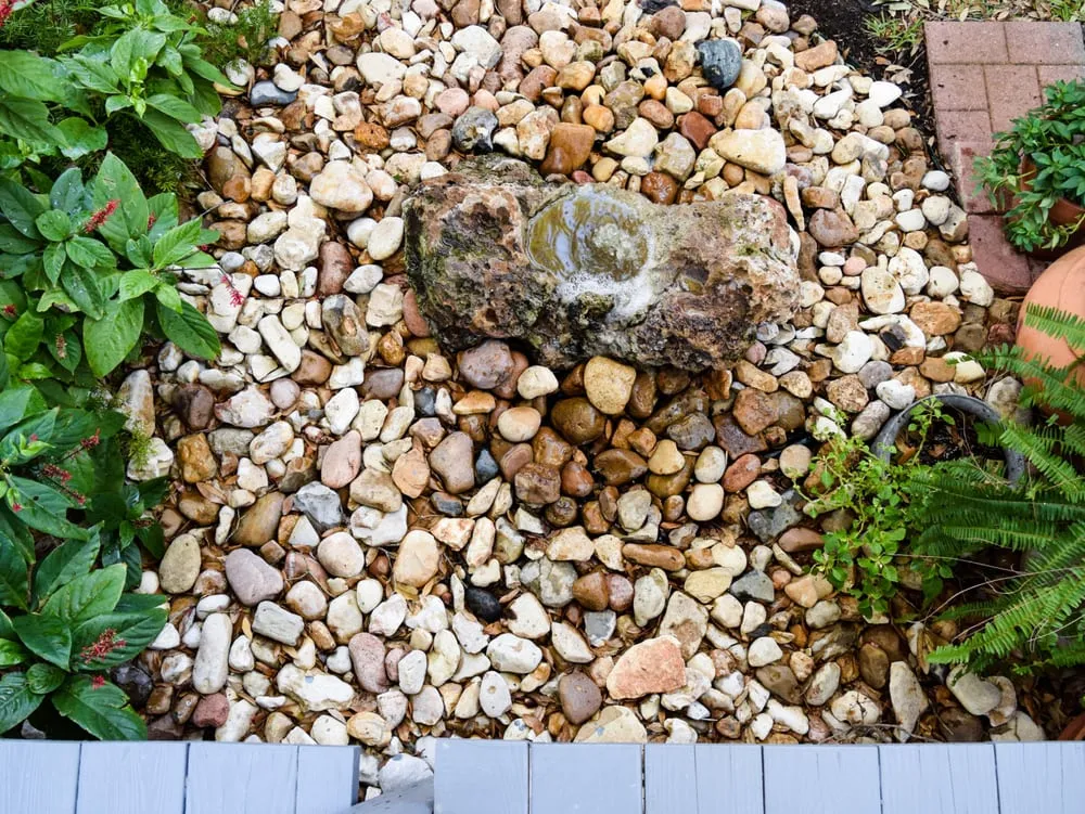 Affordable landscape design for year-round maintenance in San Antonio, TX by Venture Organic