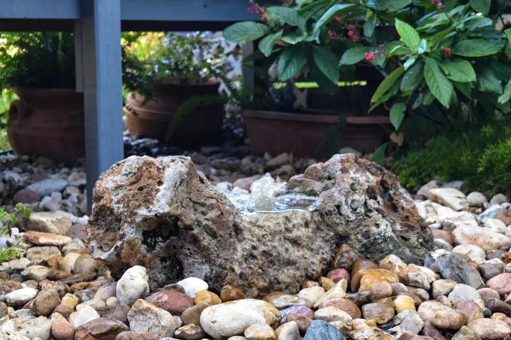 Expert landscaping services in San Antonio, TX by Venture Organic