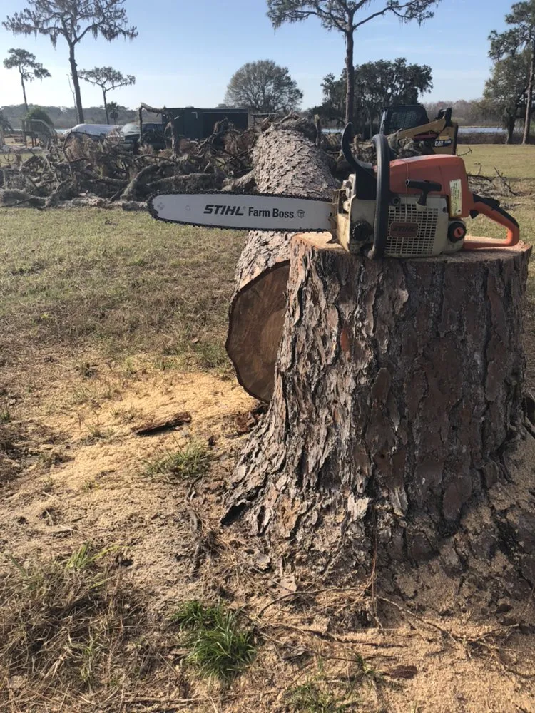 Custom landscape installation for outdoor upgrades across Sarasota, FL - Venture Tree Service