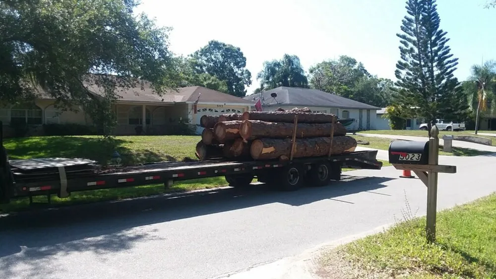 Reliable yard maintenance experts serving Sarasota, FL - Venture Tree Service