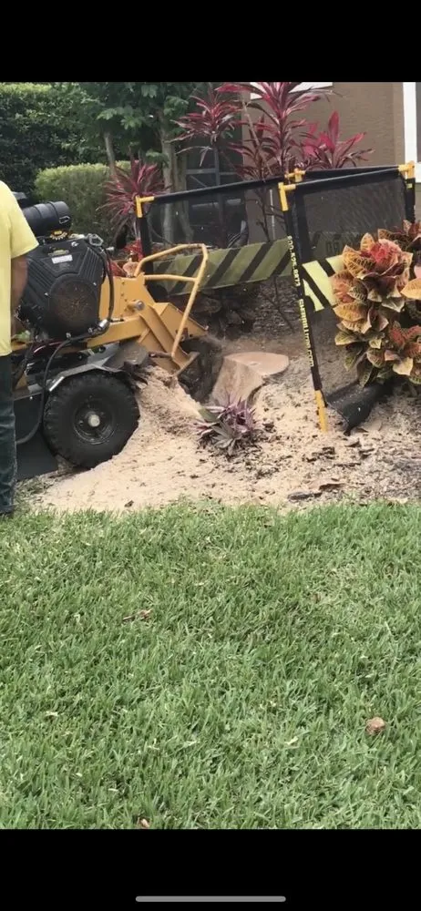 Reliable landscape design experts serving Sarasota, FL - Venture Tree Service