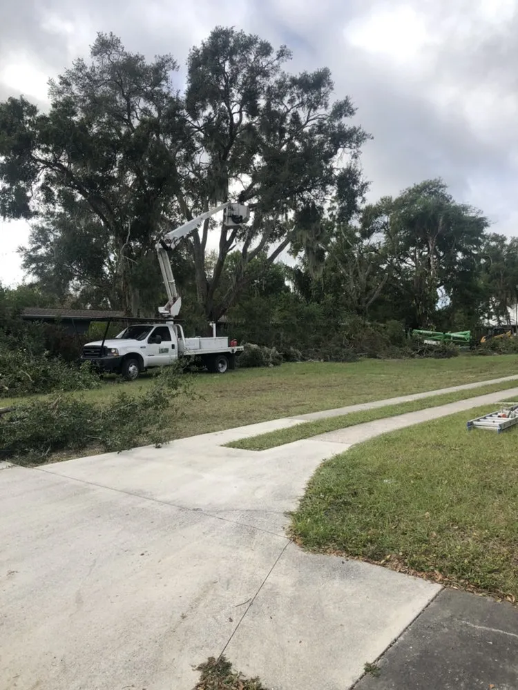 Local residential landscaping in Sarasota, FL by Venture Tree Service