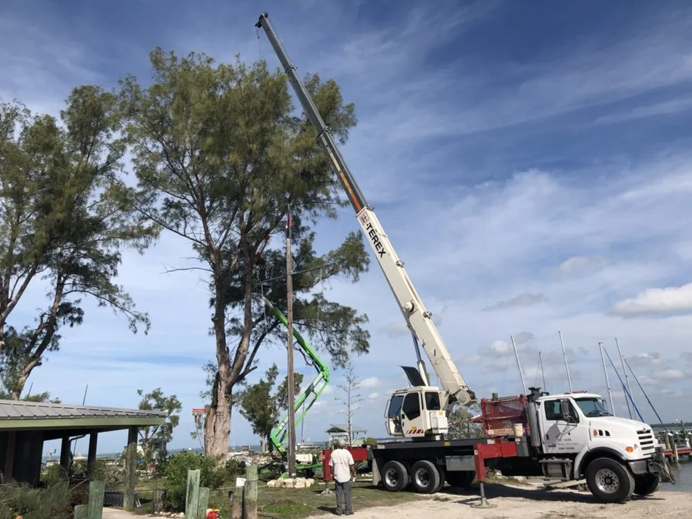 Custom outdoor landscaping in Sarasota, FL - Venture Tree Service