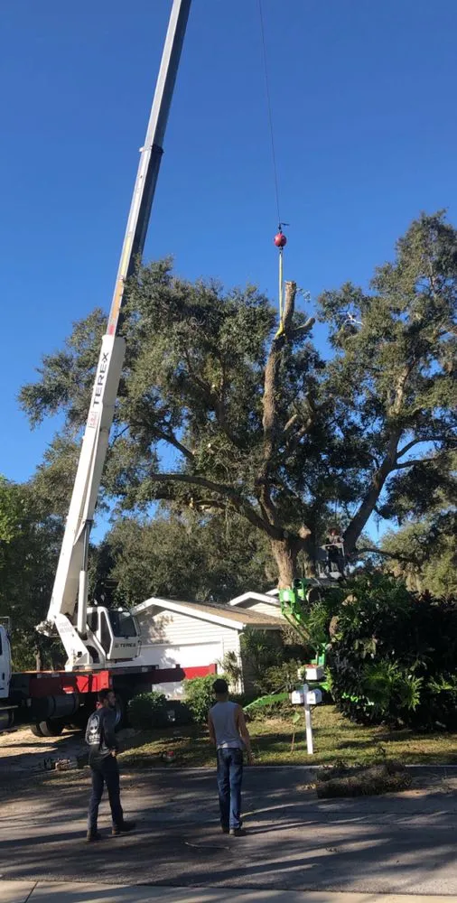 Custom residential landscaping in Sarasota, FL by Venture Tree Service