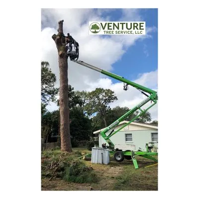 Venture Tree Service Logo