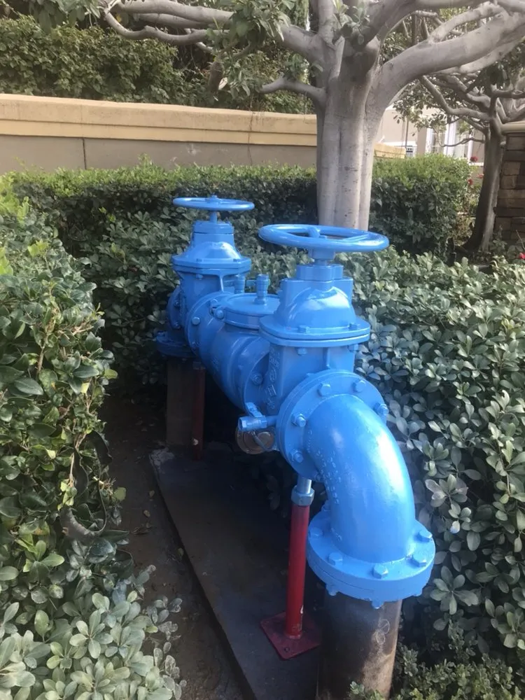 Reliable yard cleanup service experts serving Bakersfield, CA - Venturi Landscape