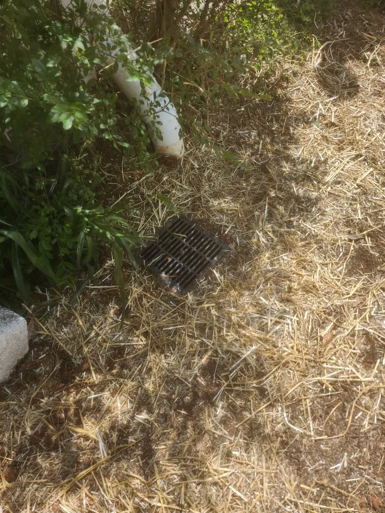 Professional yard cleanup service in Stone Mountain, GA - Venyscapes Landscaping Company