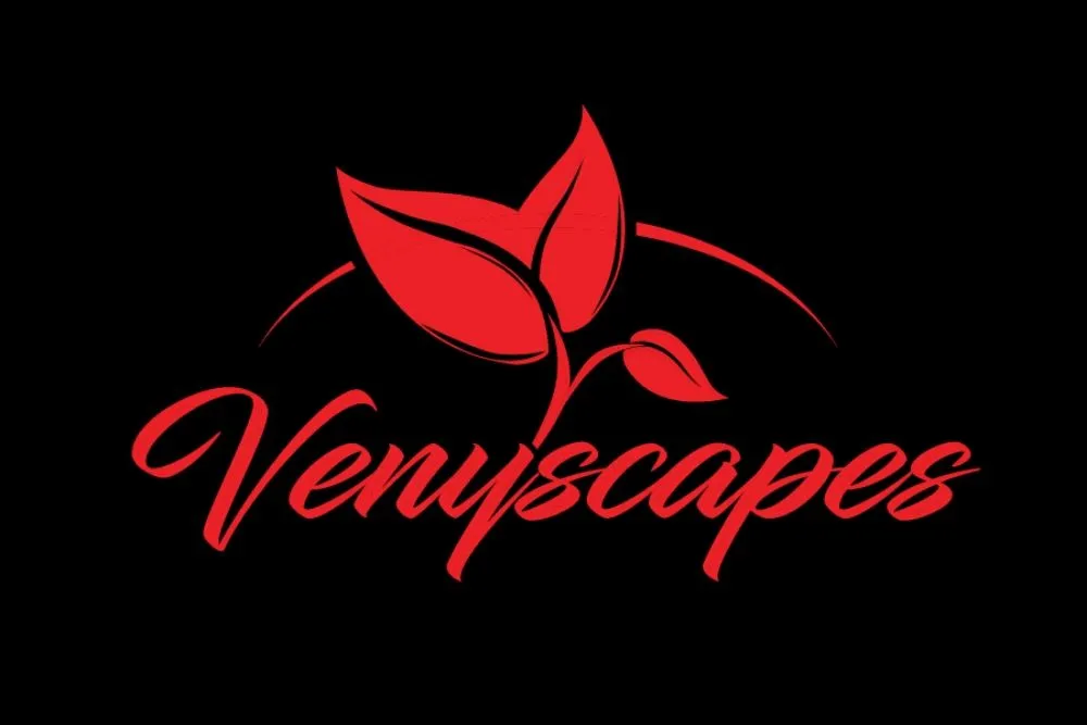Top-rated landscape design near you in Stone Mountain, GA by Venyscapes Landscaping Company