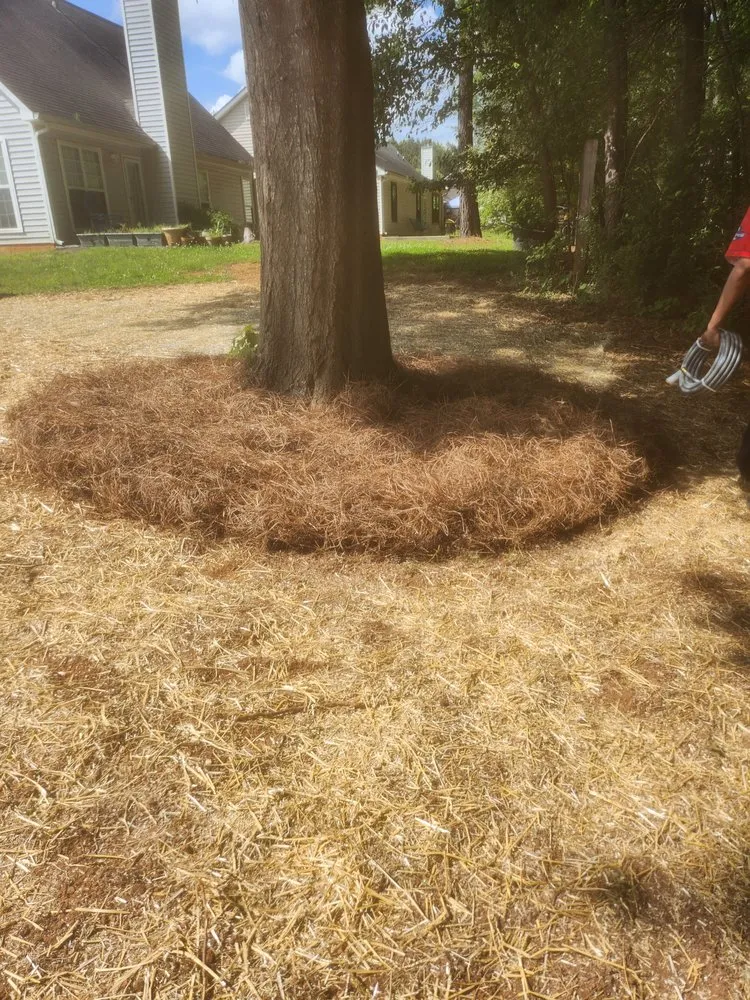 Top-rated garden landscaping for year-round maintenance across Stone Mountain, GA - Venyscapes Landscaping Company