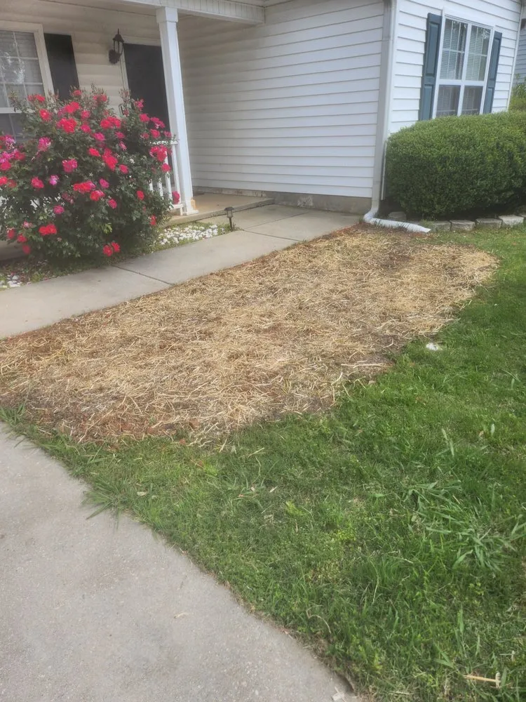 Local garden landscaping for beautiful yards in Stone Mountain, GA by Venyscapes Landscaping Company