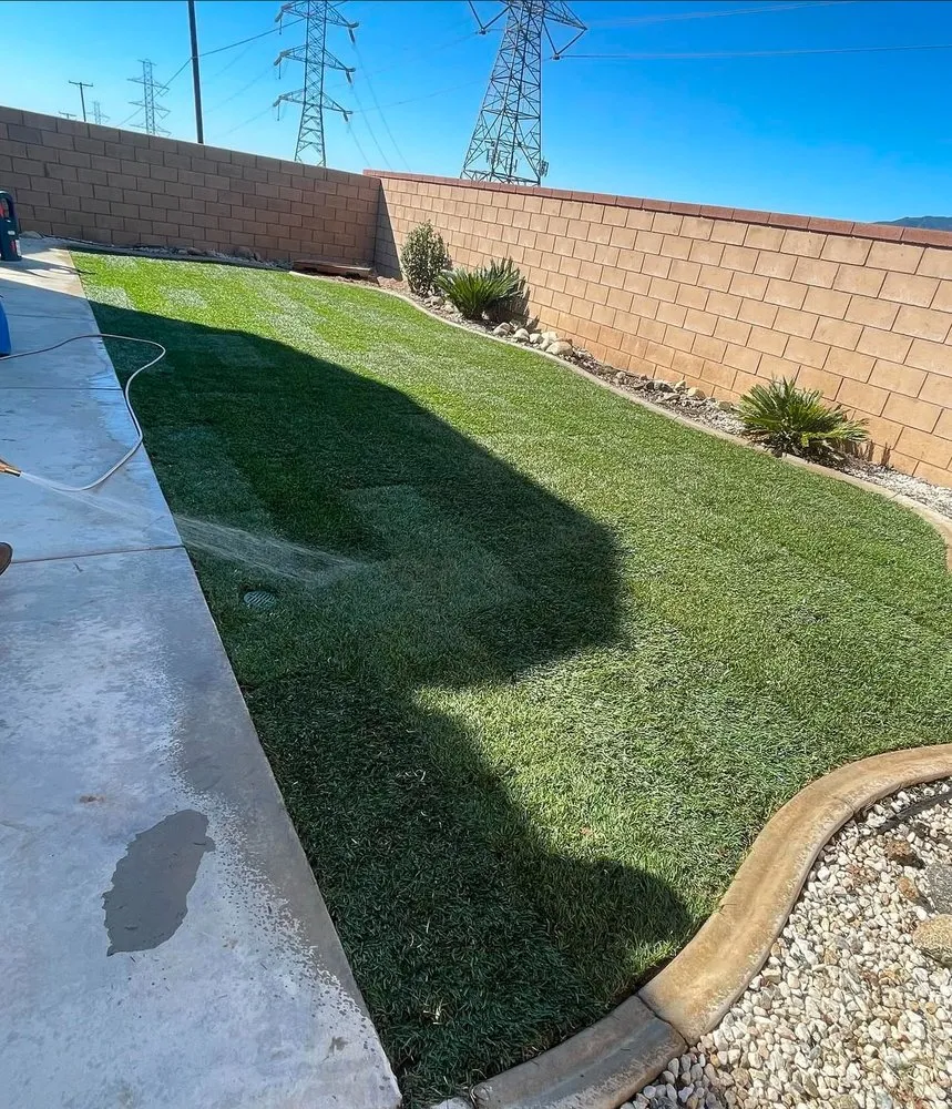 Local yard cleanup service for outdoor upgrades in Muscoy, CA by Ver Landscape and Maintenance