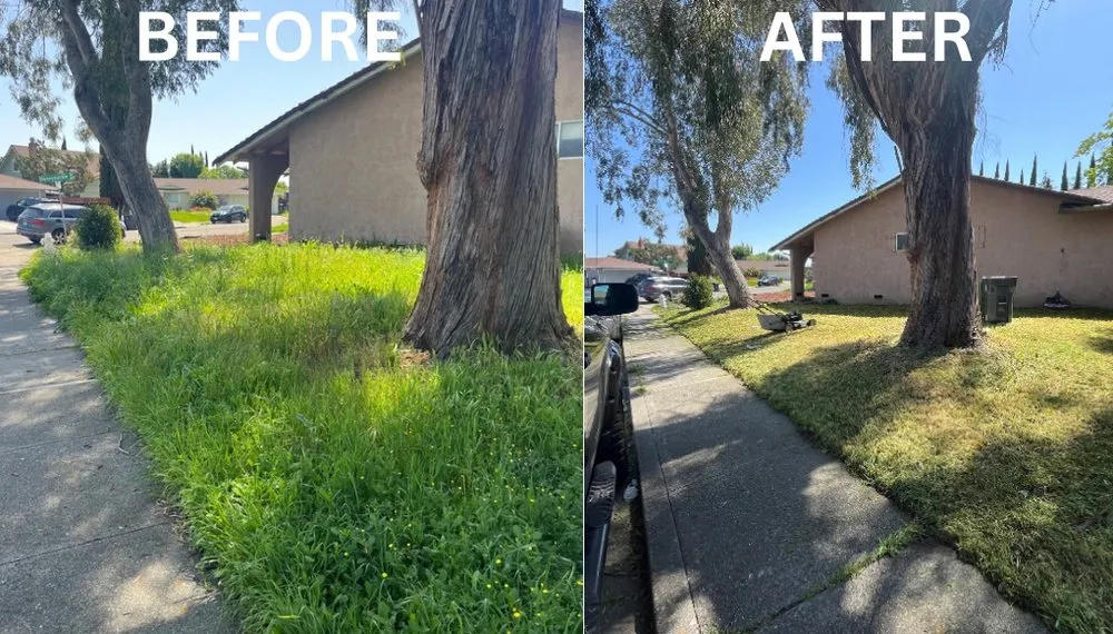 Top-rated landscape installation for outdoor upgrades across Fairfield, CA - VERA Construction & Landscaping