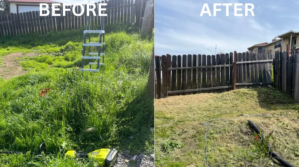 Local garden landscaping for homes in Fairfield, CA by VERA Construction & Landscaping