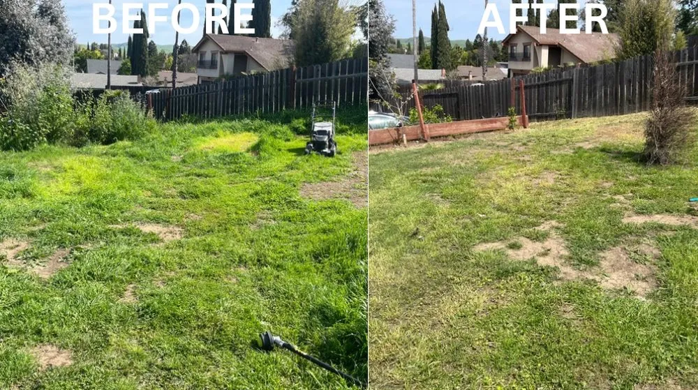 Trusted garden landscaping in Fairfield, CA by VERA Construction & Landscaping