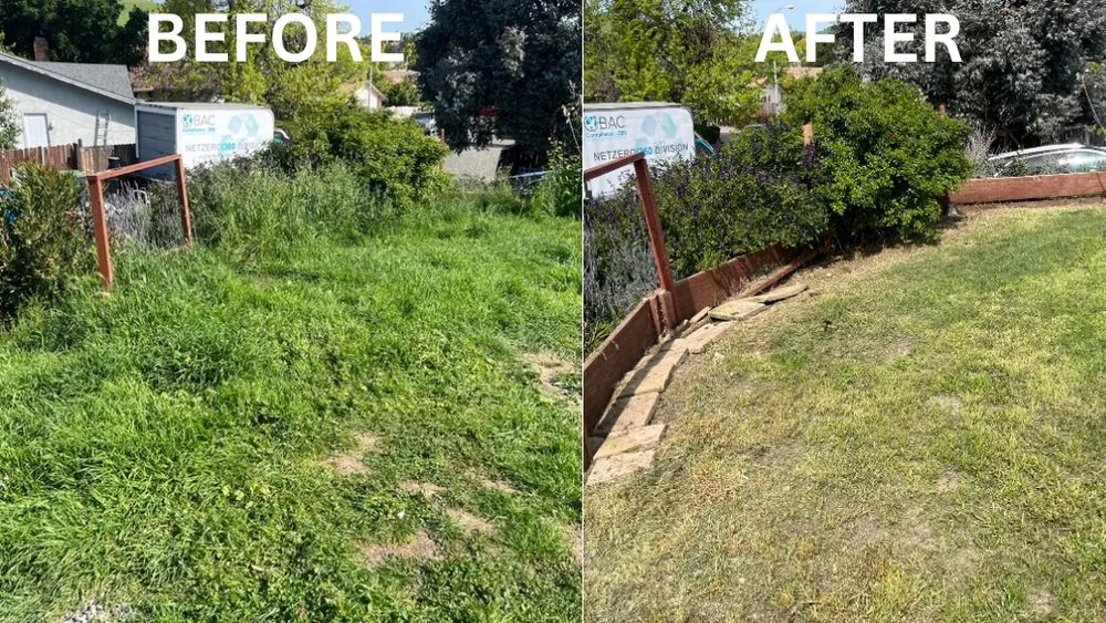 Professional lawn care service experts serving Fairfield, CA - VERA Construction & Landscaping