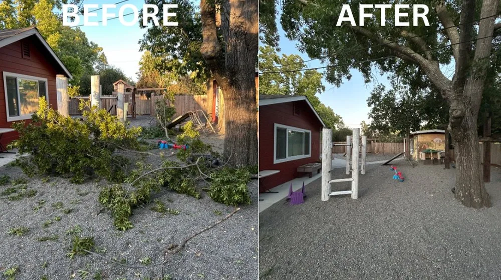 Expert garden landscaping for beautiful yards in Fairfield, CA by VERA Construction & Landscaping