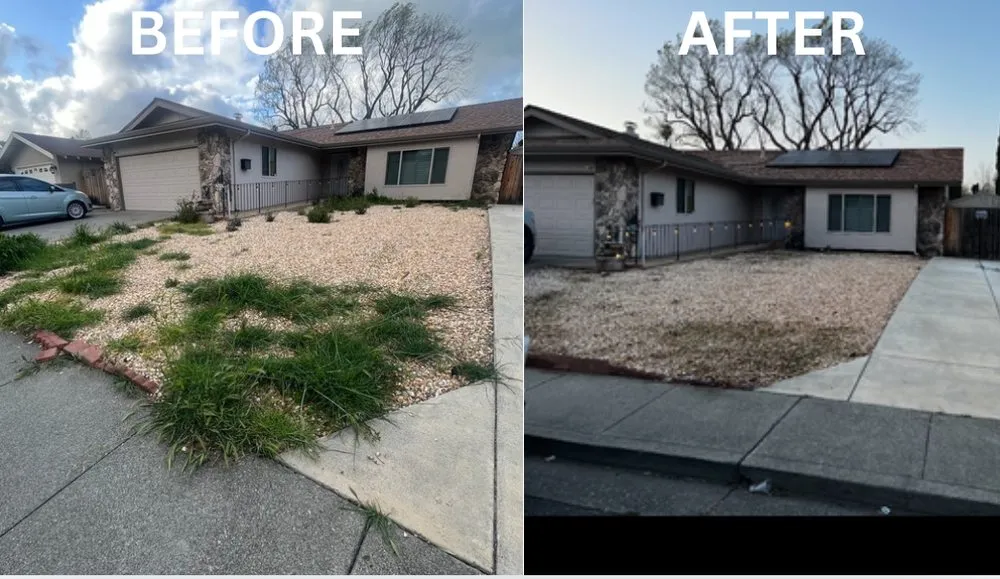 Custom lawn care service with custom design in Fairfield, CA by VERA Construction & Landscaping