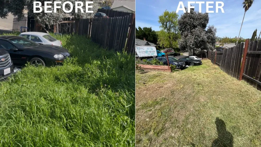 Local lawn mowing service for beautiful yards across Fairfield, CA - VERA Construction & Landscaping