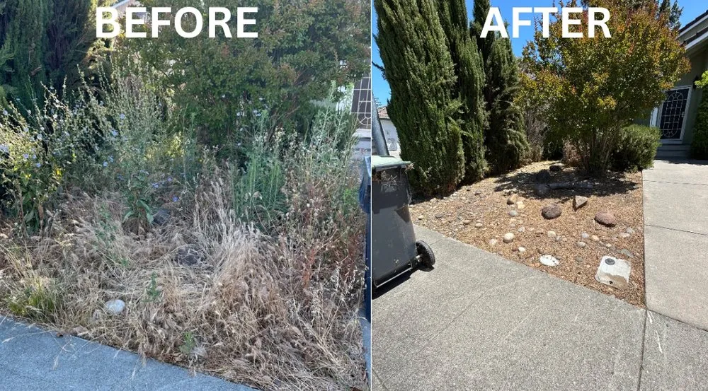 Trusted outdoor landscaping in Fairfield, CA by VERA Construction & Landscaping