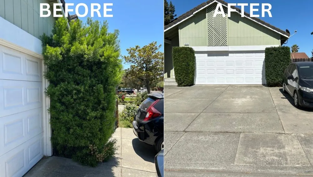 Reliable landscaping services for year-round maintenance in Fairfield, CA by VERA Construction & Landscaping