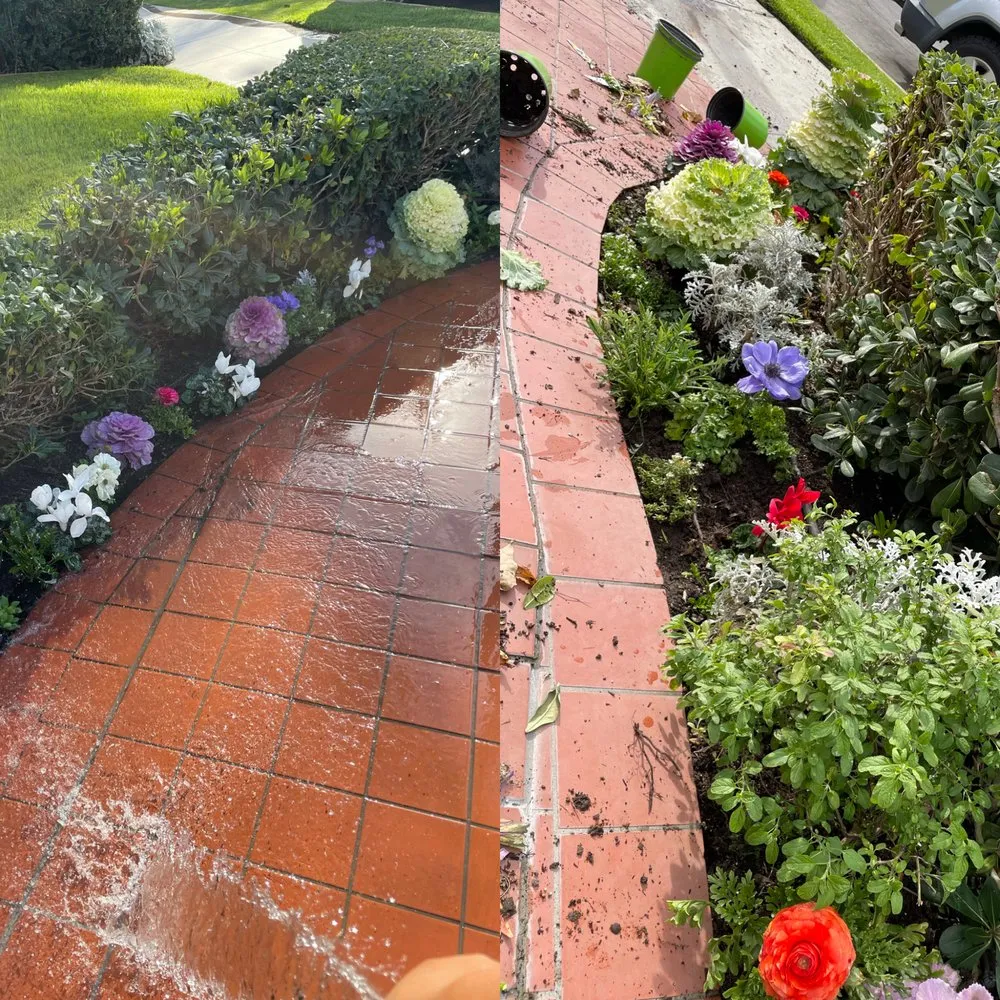 Professional landscape design in Long Beach, CA - Vera Family Landscapes