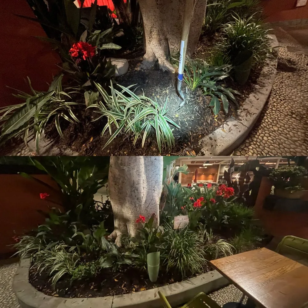 Expert garden landscaping in Long Beach, CA - Vera Family Landscapes