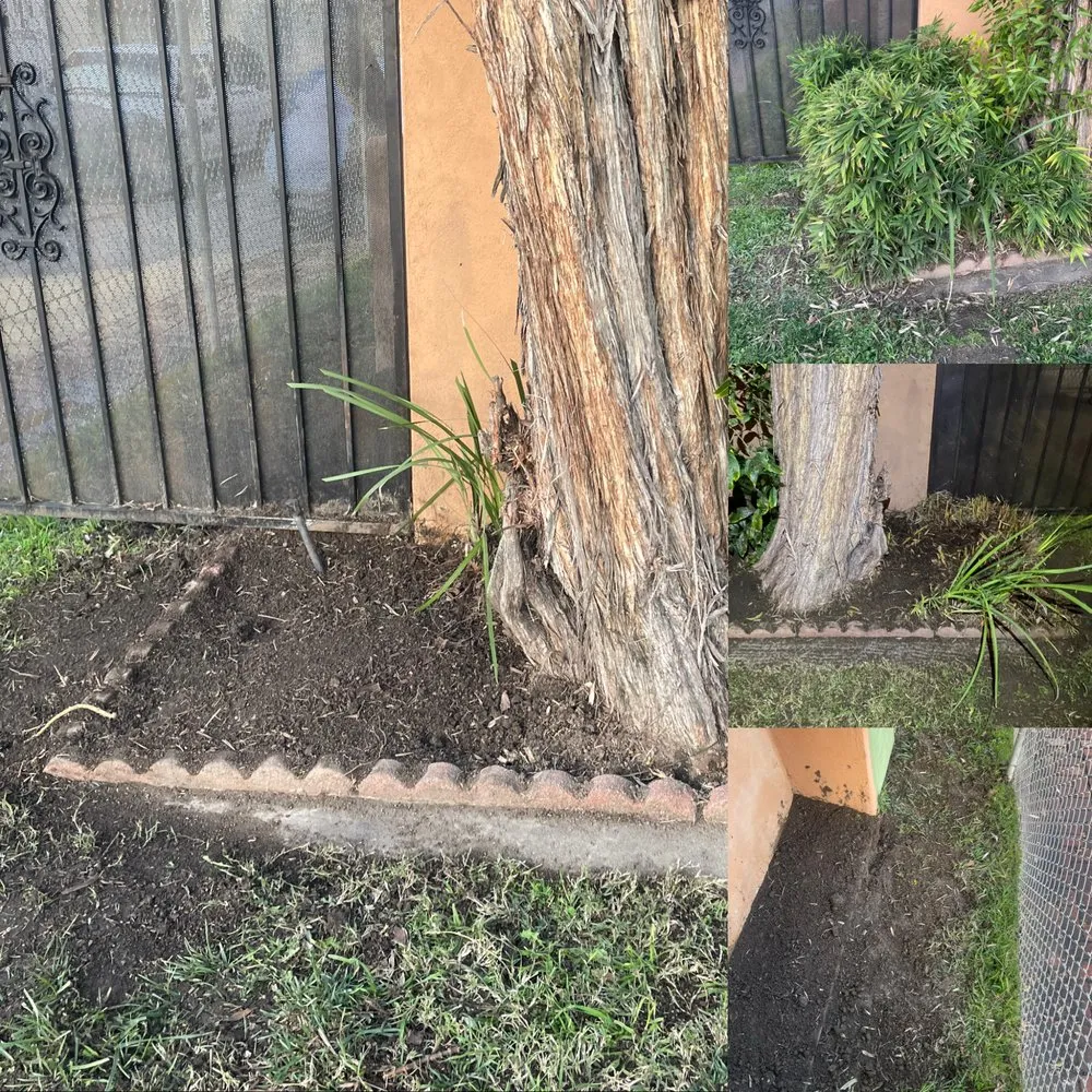 Professional landscaping services experts serving Long Beach, CA - Vera Family Landscapes