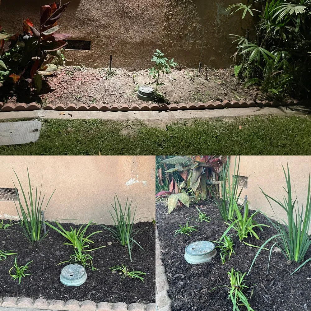 Custom landscaping services for beautiful yards across Long Beach, CA - Vera Family Landscapes