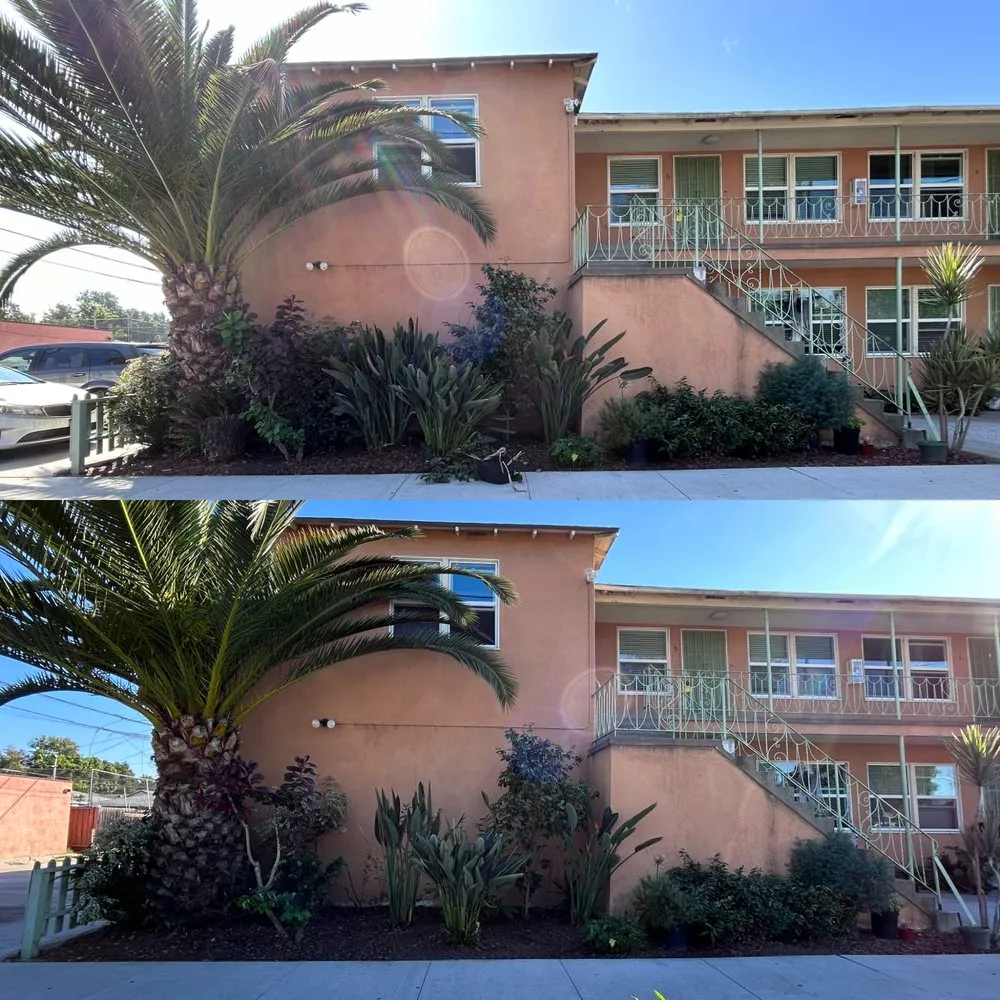 Professional landscaping services in Long Beach, CA by Vera Family Landscapes