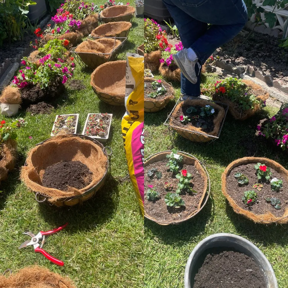 Trusted residential landscaping in Long Beach, CA by Vera Family Landscapes