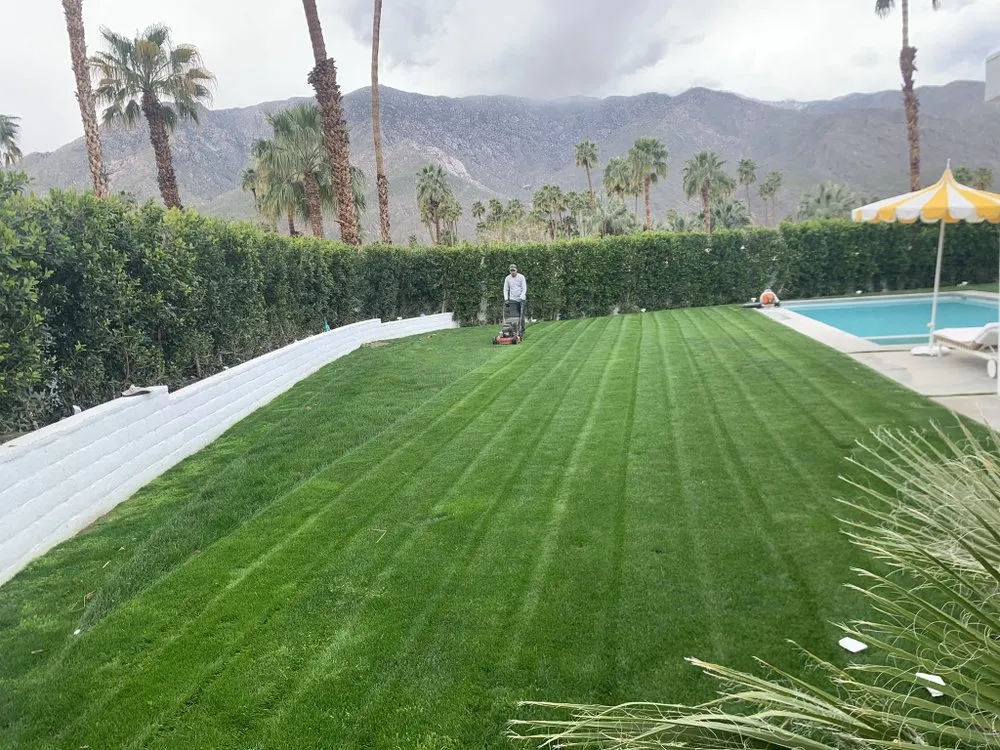 Top-rated landscaping services in Cathedral City, CA - Vera Landcare