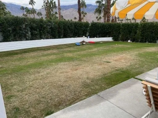 Local residential landscaping experts serving Cathedral City, CA - Vera Landcare