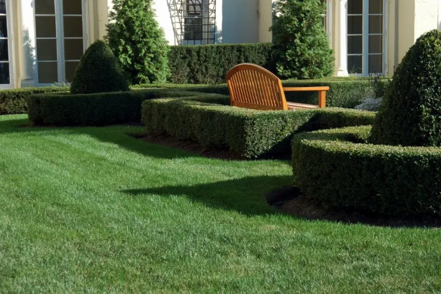 Top-rated residential landscaping experts serving Cathedral City, CA - Vera Landcare