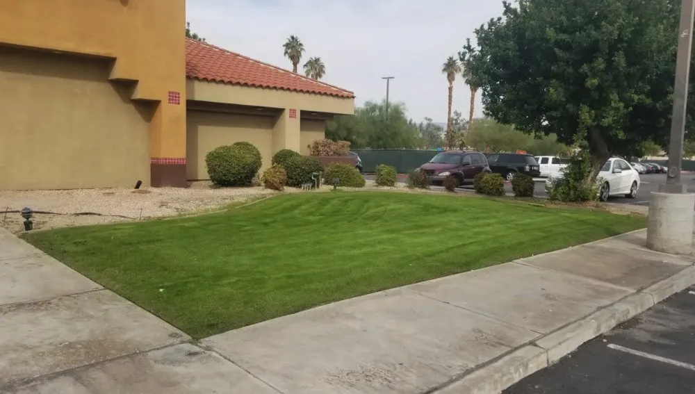 Reliable lawn care service with custom design across Cathedral City, CA - Vera Landcare