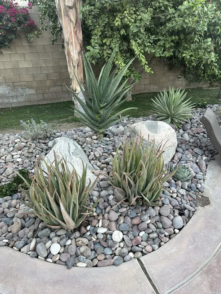 Local landscape installation in Cathedral City, CA - Vera Landcare