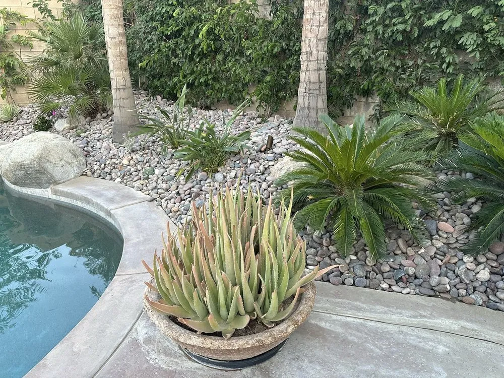 Professional outdoor landscaping experts serving Cathedral City, CA - Vera Landcare
