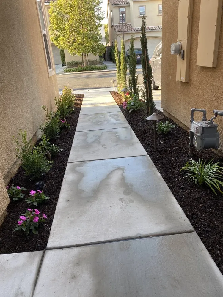 Reliable yard cleanup service in Anaheim, CA by Vera Landscape