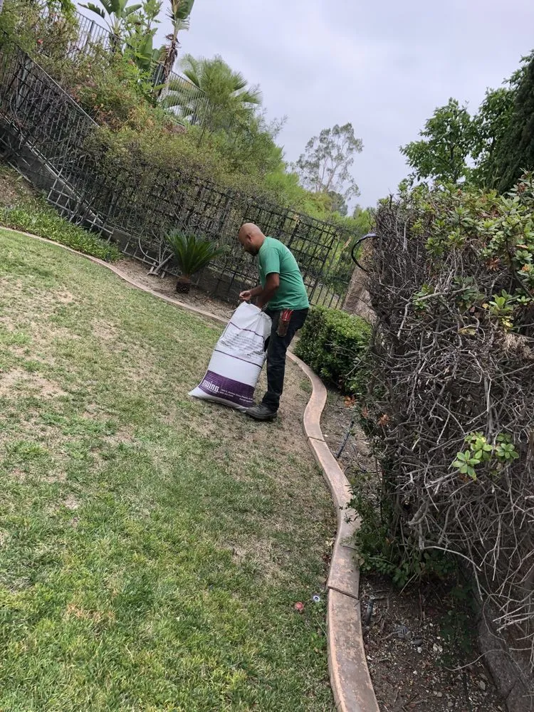 Local landscape installation experts serving Anaheim, CA - Vera Landscape