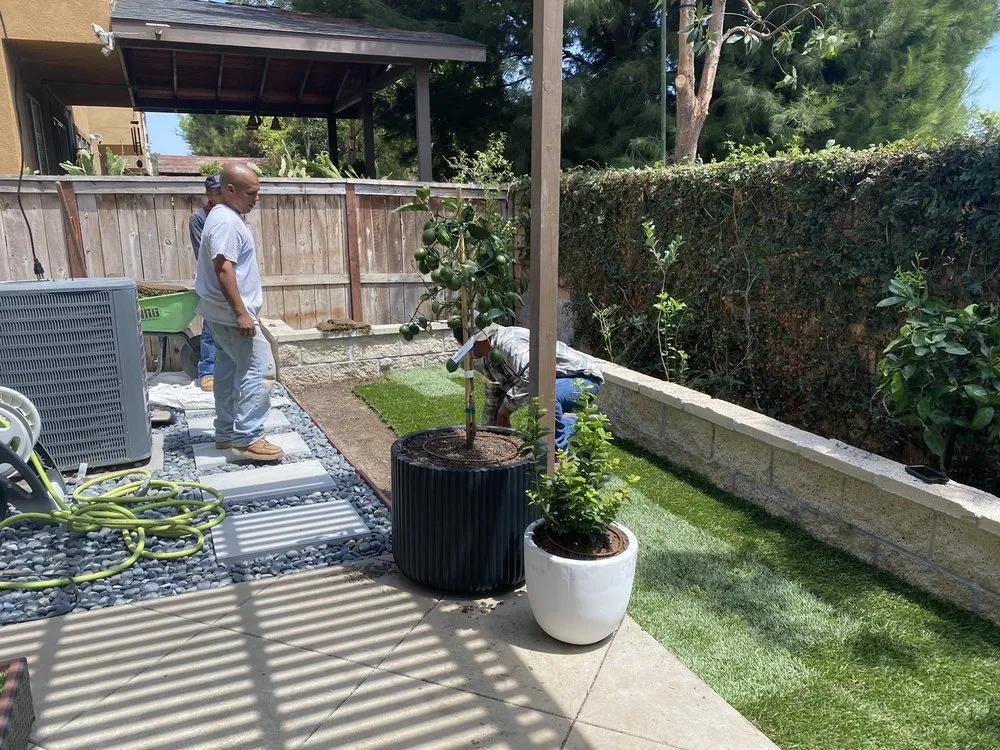 Local yard maintenance experts serving Anaheim, CA - Vera Landscape